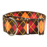Argyle Fall 2" Wide Martingale Dog Collar